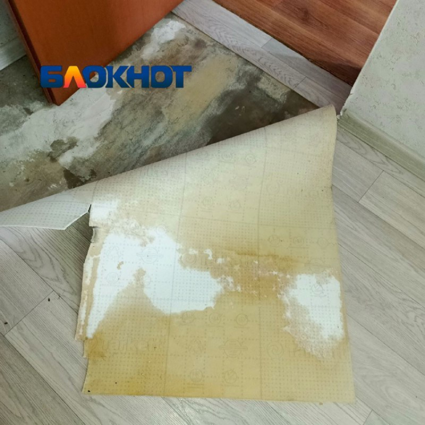 Пятилетняя борьба с дырявой крышей довела волгоградца: он срывает обои и линолеум 