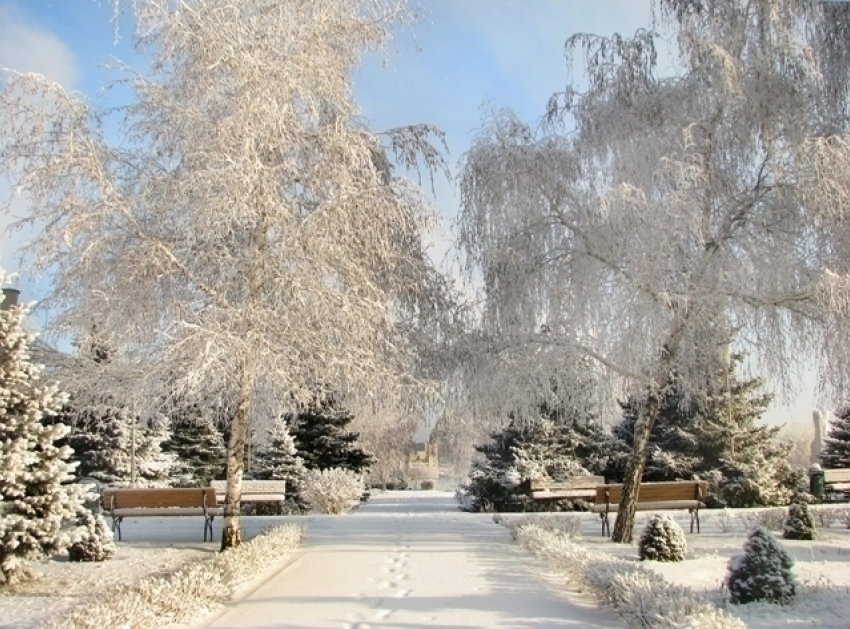 В Волгоградской области ожидается мокрый снег, метели и туман