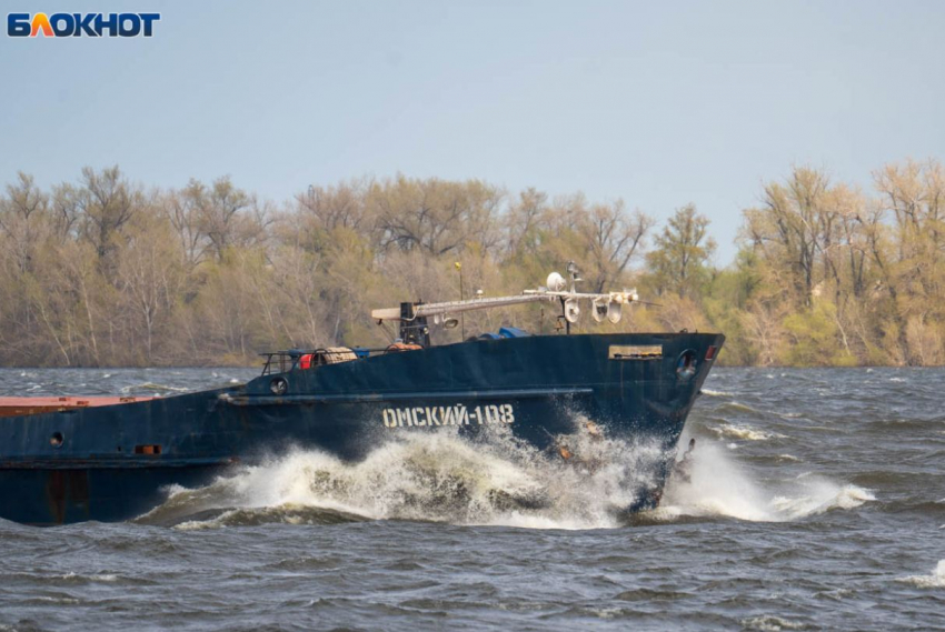 Снежный шторм переживут волгоградцы в ожидании +20 градусов