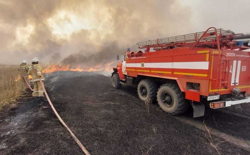 Под Волгоградом бушует крупный ландшафтный пожар
