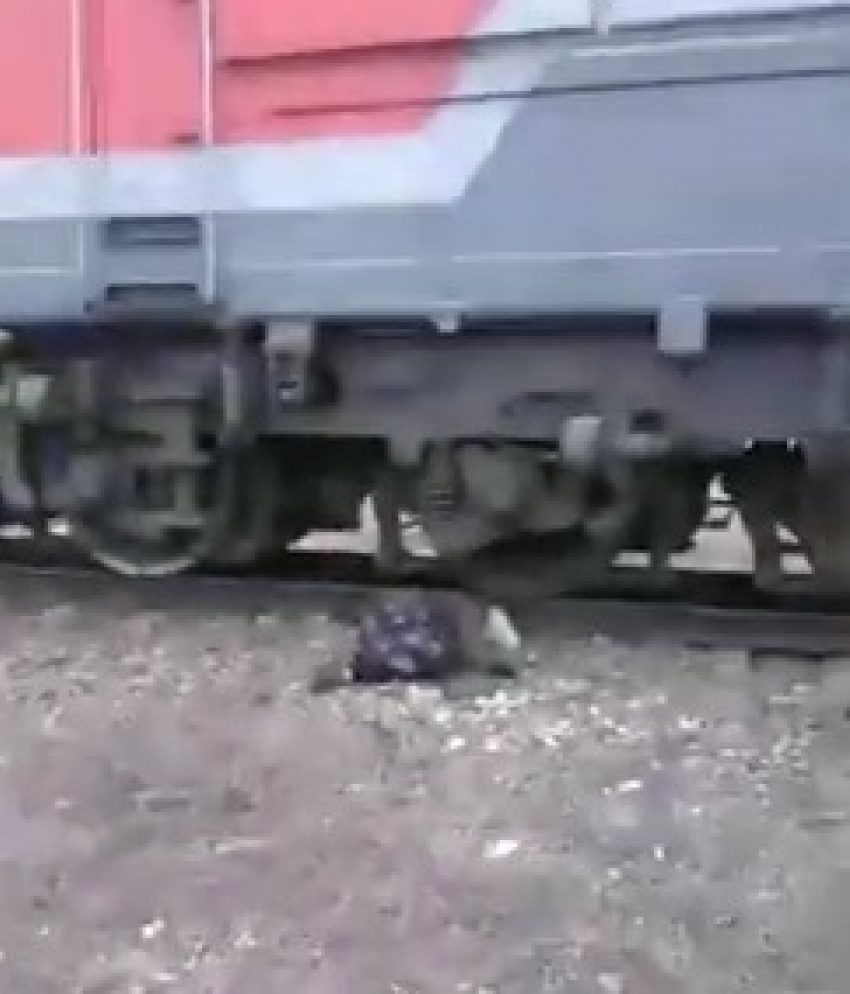 В Волгоградской области под поездом погибла местная жительница