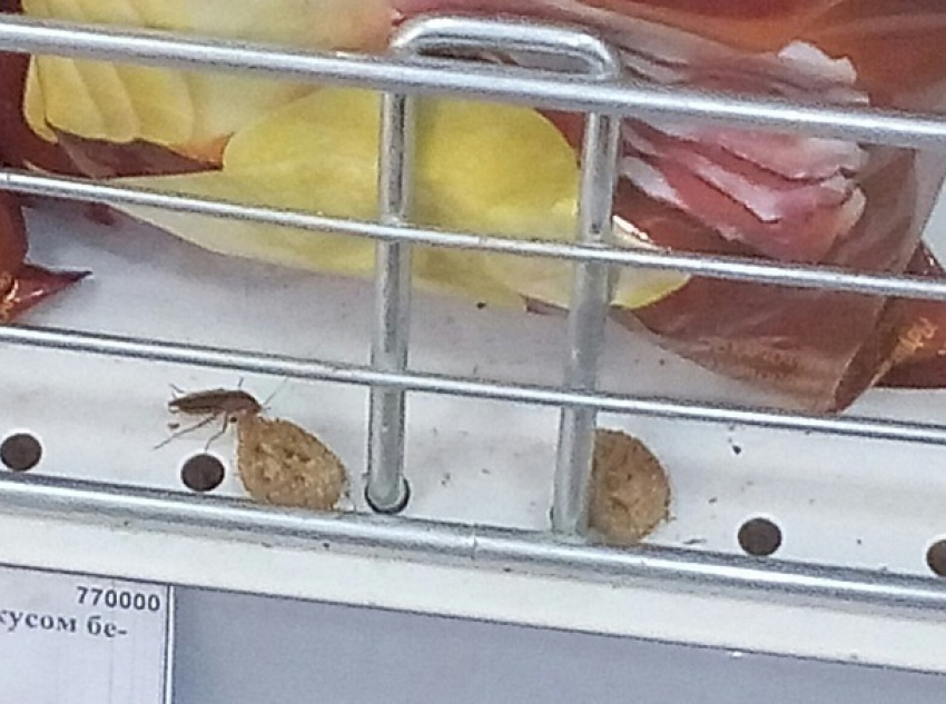 Волгоградский магазин отметился фотографией с тараканом