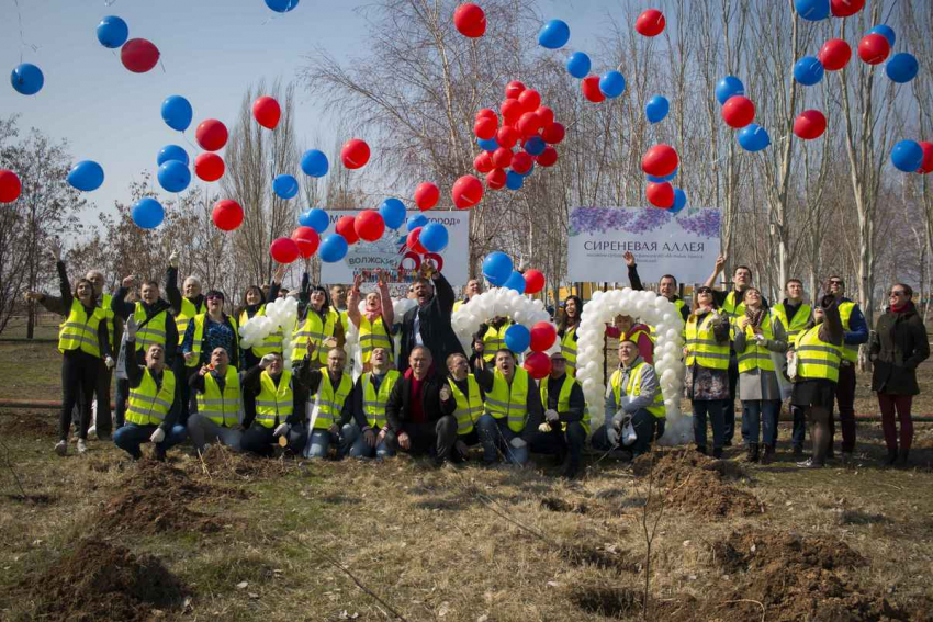 «Сиреневая аллея» появилась в Волжском благодаря пивоварам