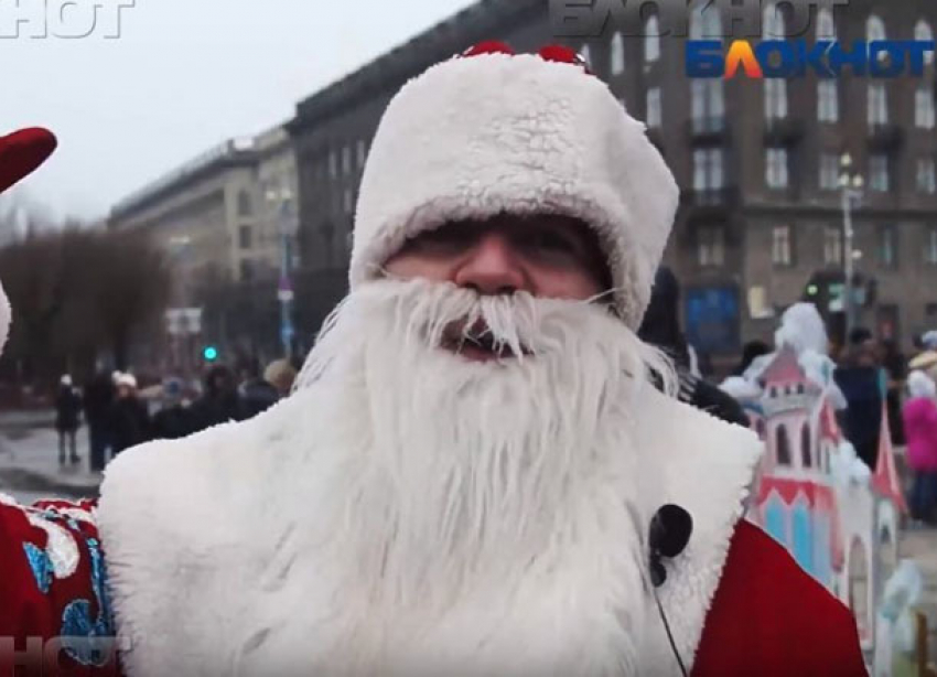 Волгоградцы устроят «Баттл в новогоднем лесу» завтра