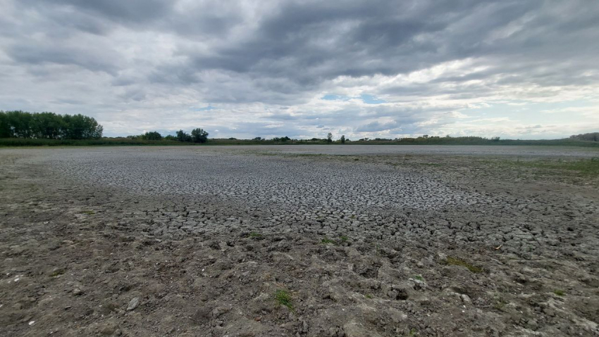 Еще весной ловил там щук: в пятак засохшей грязи превратилась мечта рыбака в волгоградской пойме