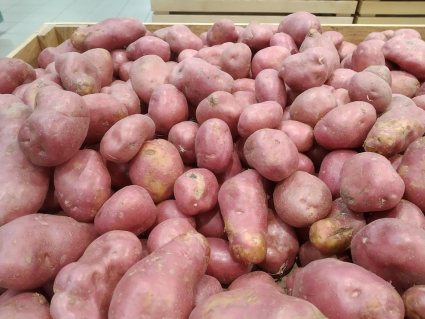 Волгоградцев шокировали осенние цены на местный картофель