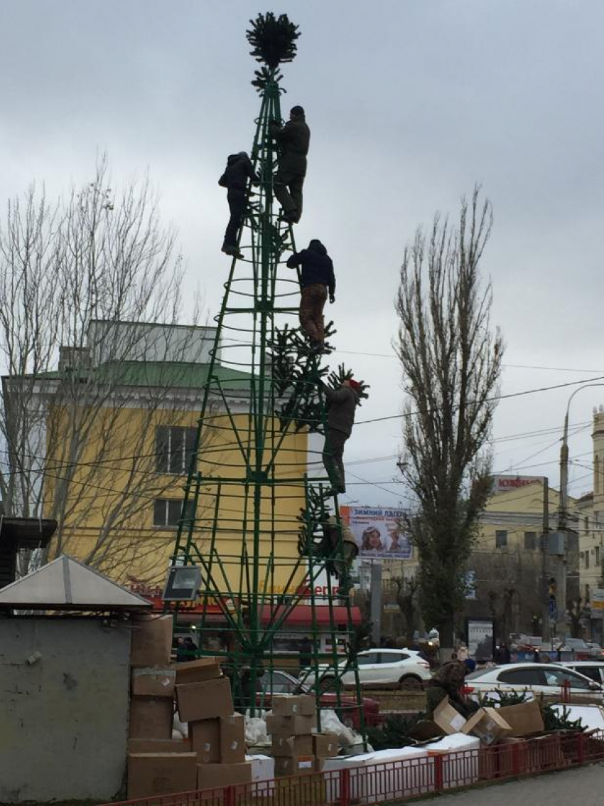 В Волгограде начали устанавливать уличную новогоднюю елку