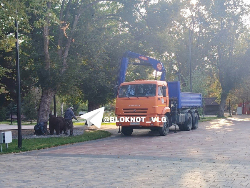 В центре Волгограда демонтировали популярный арт-объект