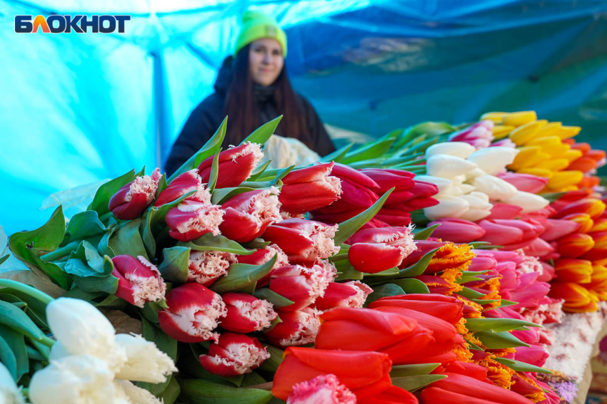 Летняя резина и набор рыбака: волгоградки назвали самые необычные подарки к 8 марта 