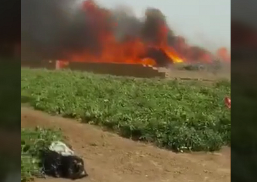 На видео попали кадры пожара на полях под Волгоградом