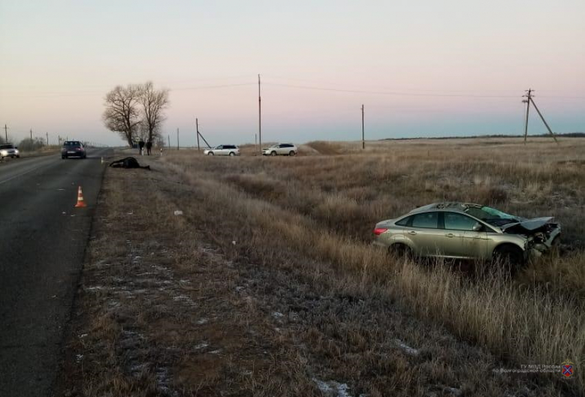 Под Волгоградом иномарка сбила лошадь: двое раненых