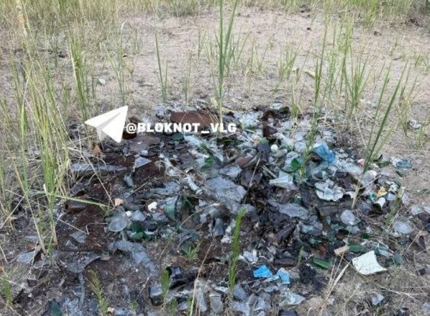 Мэрия и область открестились от заваленного мусором пляжа в Волгограде 