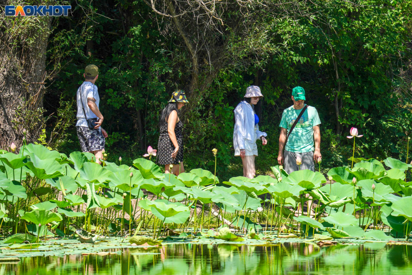 35-градусную жару и духоту обещают 7 августа синоптики в Волгограде 