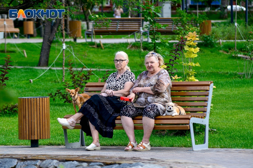 В Волгоград пришло аномальное тепло