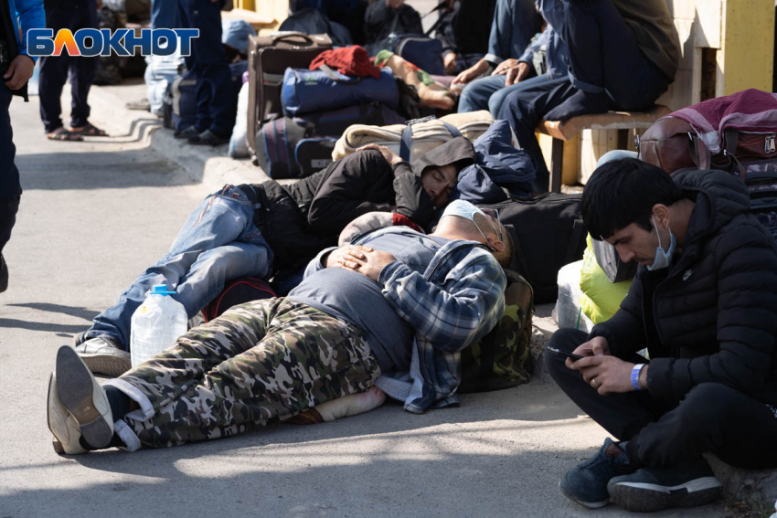 Полиция сообщила о судьбе волгоградских мигрантов