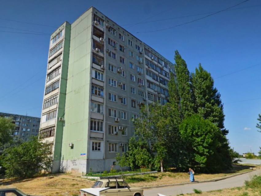 Из-за блох в многоэтажке в Волгограде маме с полугодовалым ребенком пришлось съехать в гостиницу 