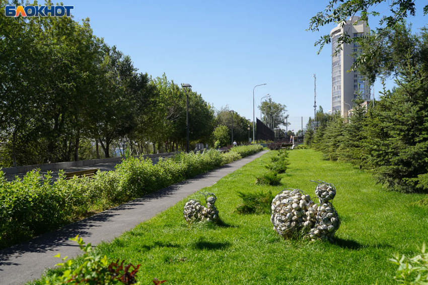 Не умеете ценить что есть: житель Сочи нашел нашел массу плюсов в Волгограде