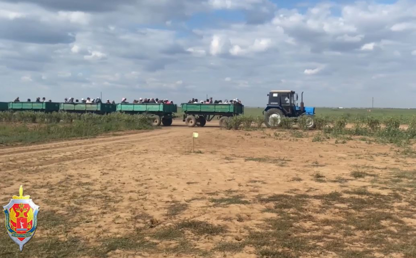 Мигрантов вывезли на прицепах-зерновозах с волгоградских полей —  видео 