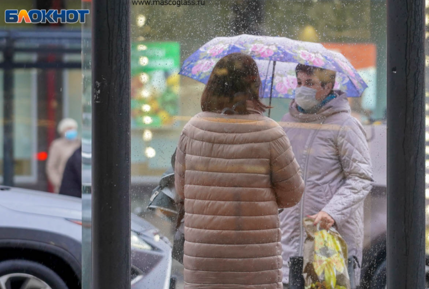 "Стоишь по часу под дождем": волгоградка о реалиях автобуса №68