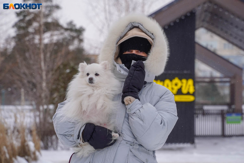 Скромный снегопад, скользкие дороги и геомагнитная встряска: погода в Волгограде на 21 января