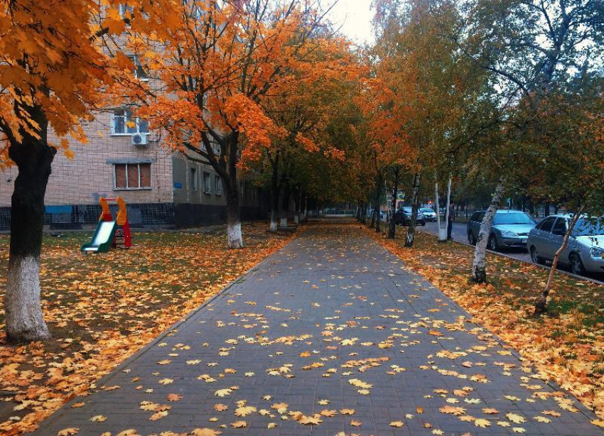 В Волгограде продолжает сохраняться прохладная и туманная погода