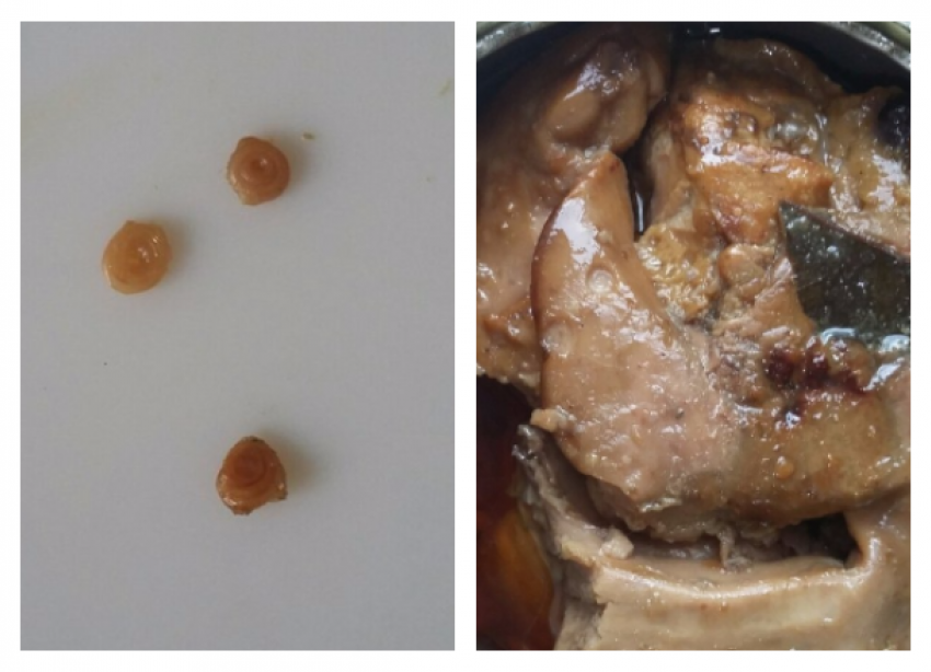 Волгоградка обнаружила в консервах клубок червей