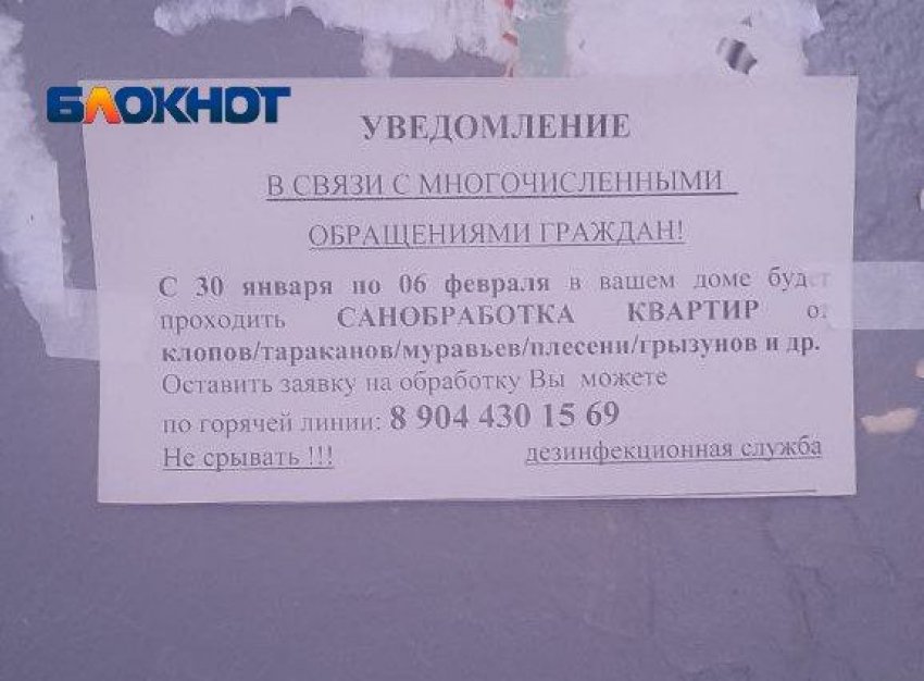 «Это чей-то тараканий бизнес?»: волна мутных объявлений захватила Волгоград
