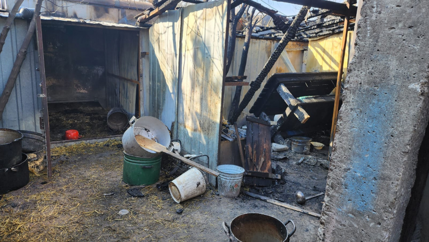 Собаки погибли при пожаре в приюте на 500 голов под Волгоградом