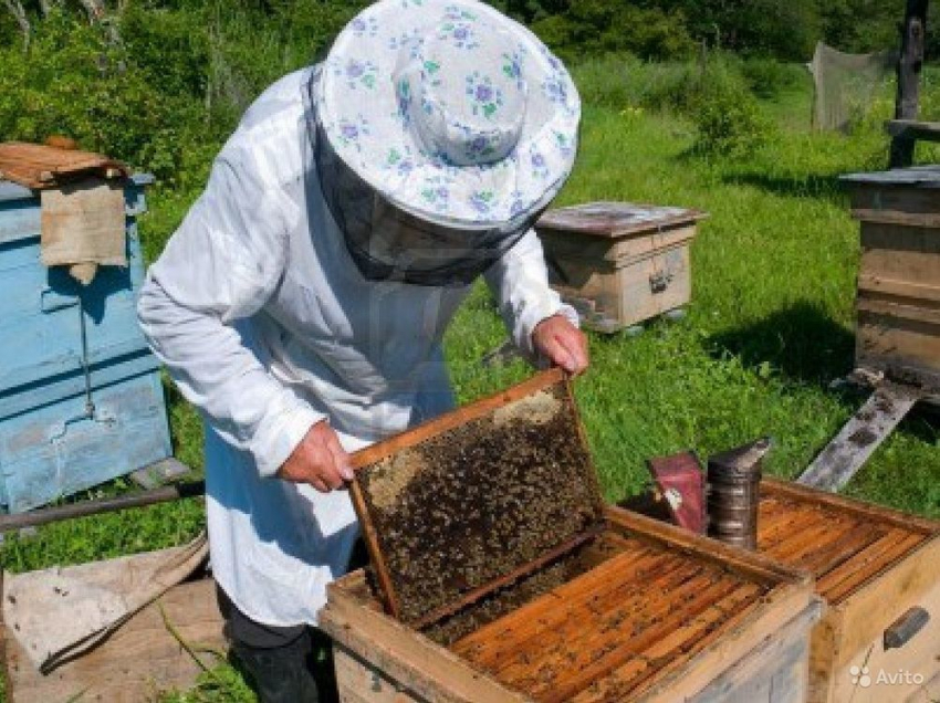 Пчеловод задержан под Волгоградом с крупной партией марихуаны