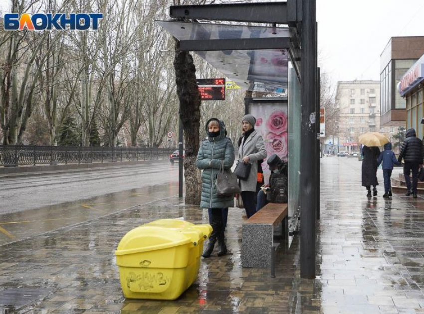 В Волгограде прояснилась причина коллапса на дачных автобусах