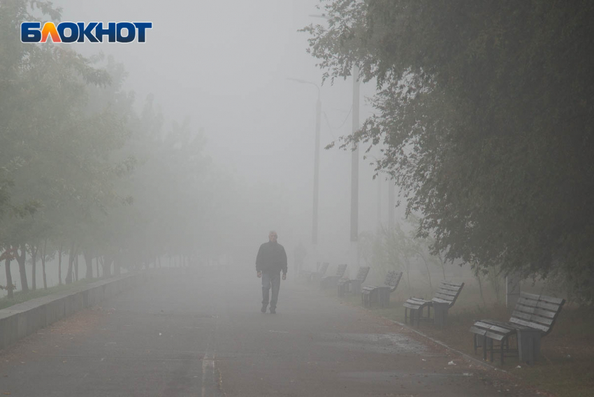 Опасное для водителей явление укутало Волгоградскую область