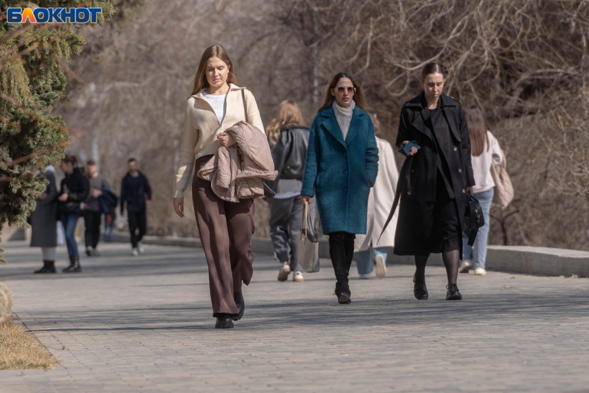 Названы вакансии в Волгограде с зарплатой от 150 тысяч 