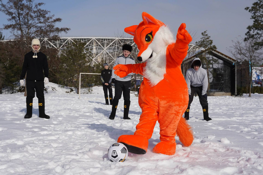 Бесплатный турнир по валенкоболу пройдет в Волгограде