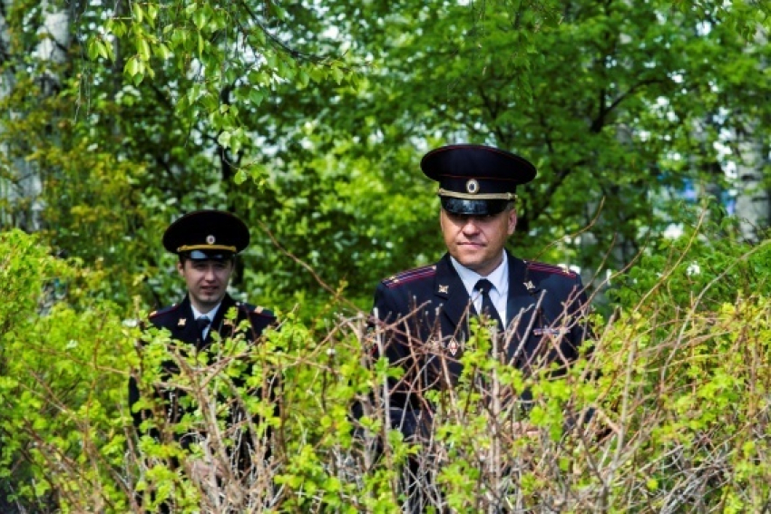 Подозрительные кусты ищут полицейские по всей Волгоградской области