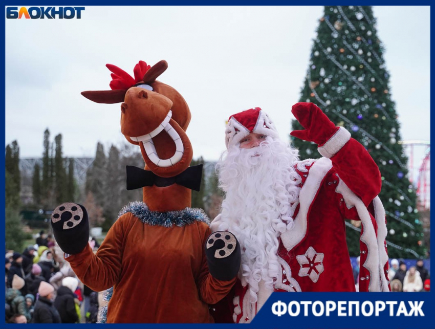 Особенный предновогодний период официально объявлен в Волгограде