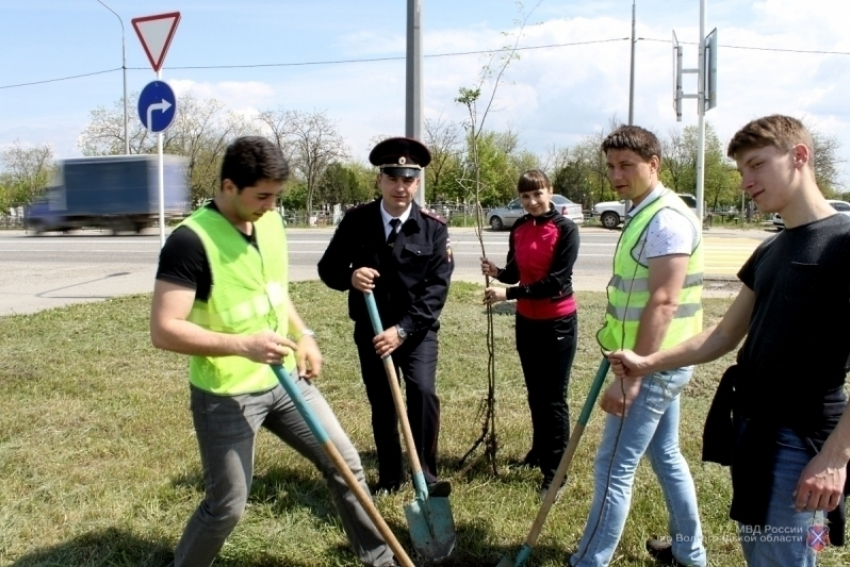 В Волгограде высадили «аллею Ангелов» в память о детях, погибших в ДТП 