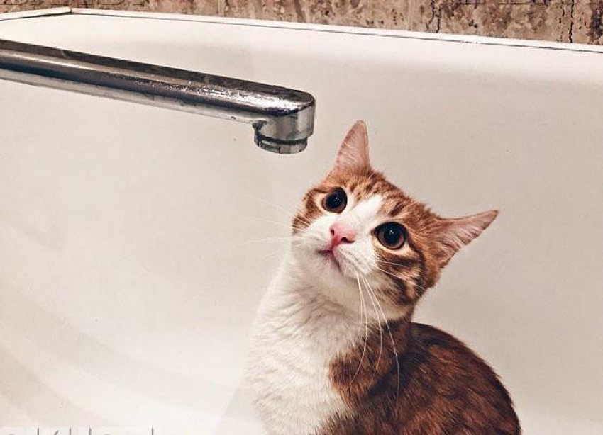 Стал известен полный график отключения горячей воды в Волгограде в июне