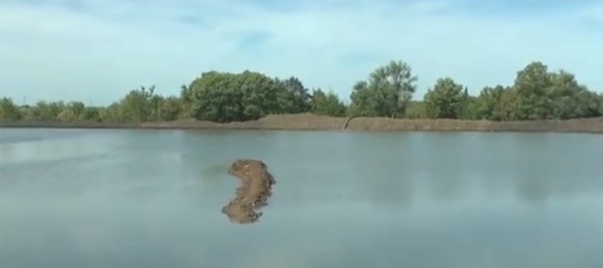 В Волгоградской области расчистили и оживили первый участок реки Арчеда