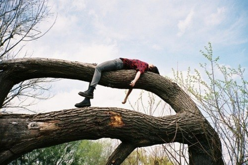 Застрявший на дереве житель Волгограда требовал еды и вертолет