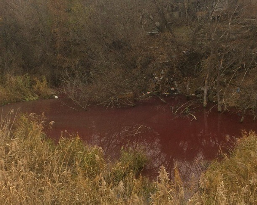 Волгоградцы вспомнили о карах египетских благодаря кровавому озеру на Красном Октябре