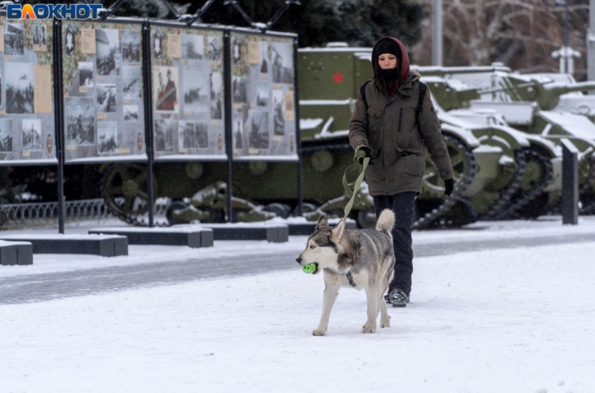 Туманные перспективы нарисовали синоптики Волгограду на 2 февраля