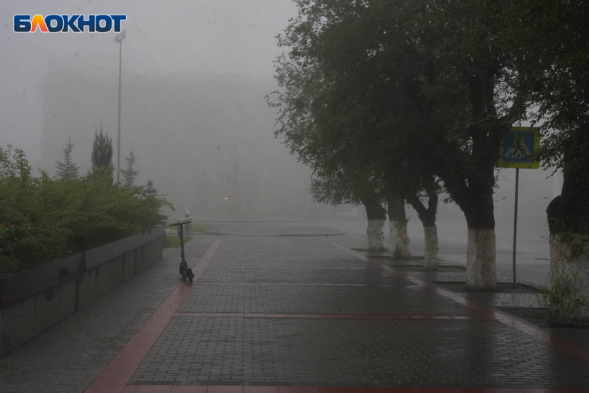 Волгоградцев ждет сырое и ветреное воскресенье