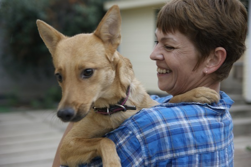 В Волгограде супруги спасли от неминуемой гибели больше 20 собак