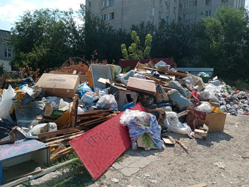 Агитацию на фоне гор мусора в Волгограде устроил кандидат в депутаты — директор УК