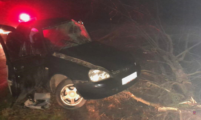 В Волгоградской области три человека погибли в ДТП