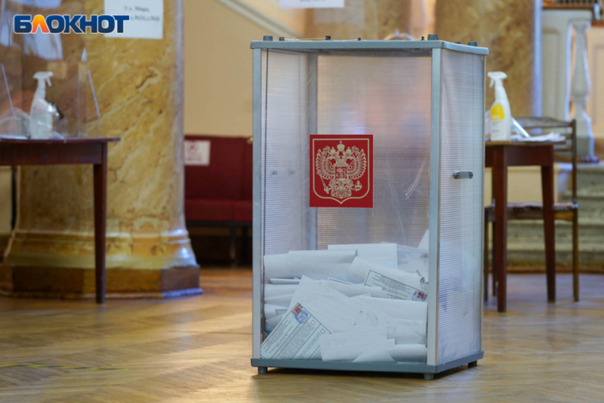Смотрите на грудь: как отличить информатора о выборах от мошенника в Волгограде