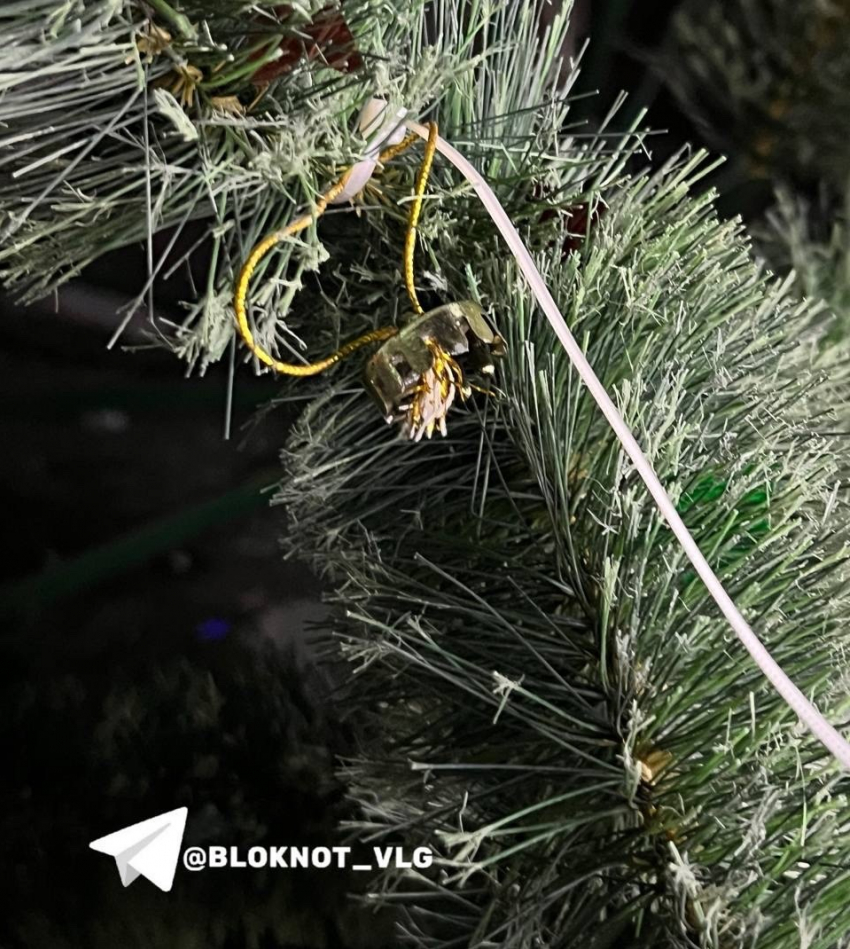 "Все оборвали": елочные вандалы завелись в Волгограде 