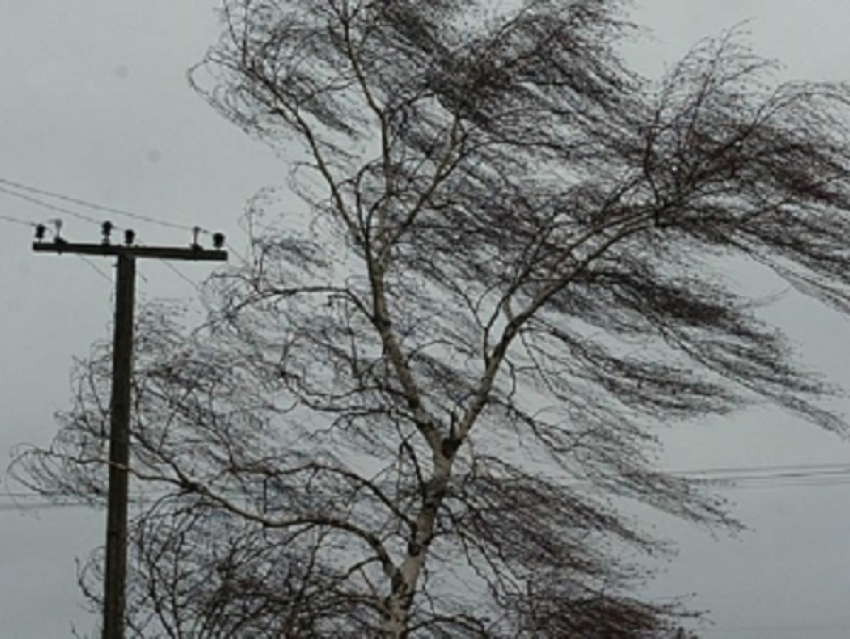 В Волгограде ожидается ураганный ветер до 30 м/с