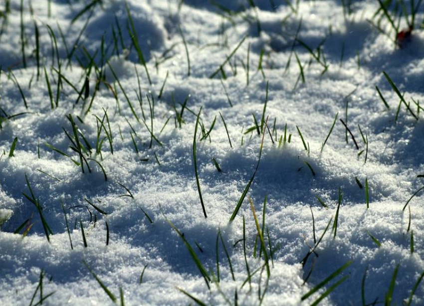 Гидрометцентр: атлантическое тепло придёт в Волгоградскую область в первую неделю весны