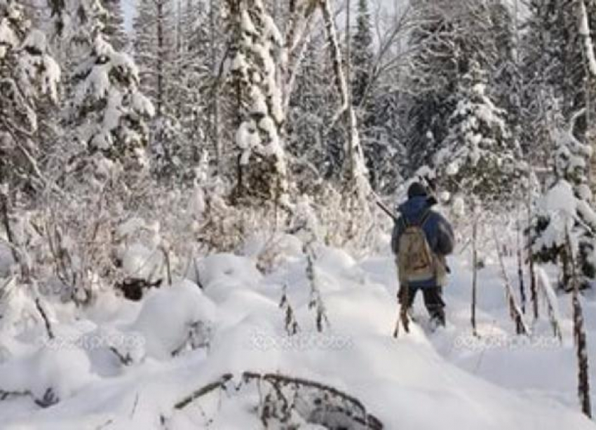 Охотник заблудился в снежную бурю в лесу под Волгоградом